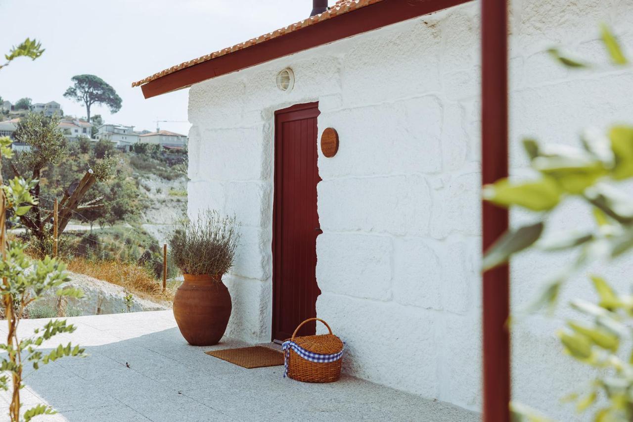 Oliveiras Village — Agroturismo Amarante Dış mekan fotoğraf