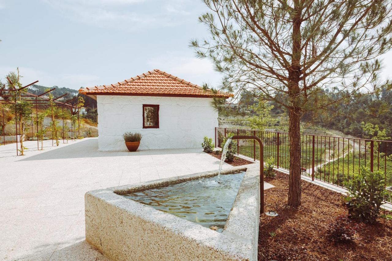Oliveiras Village — Agroturismo Amarante Dış mekan fotoğraf